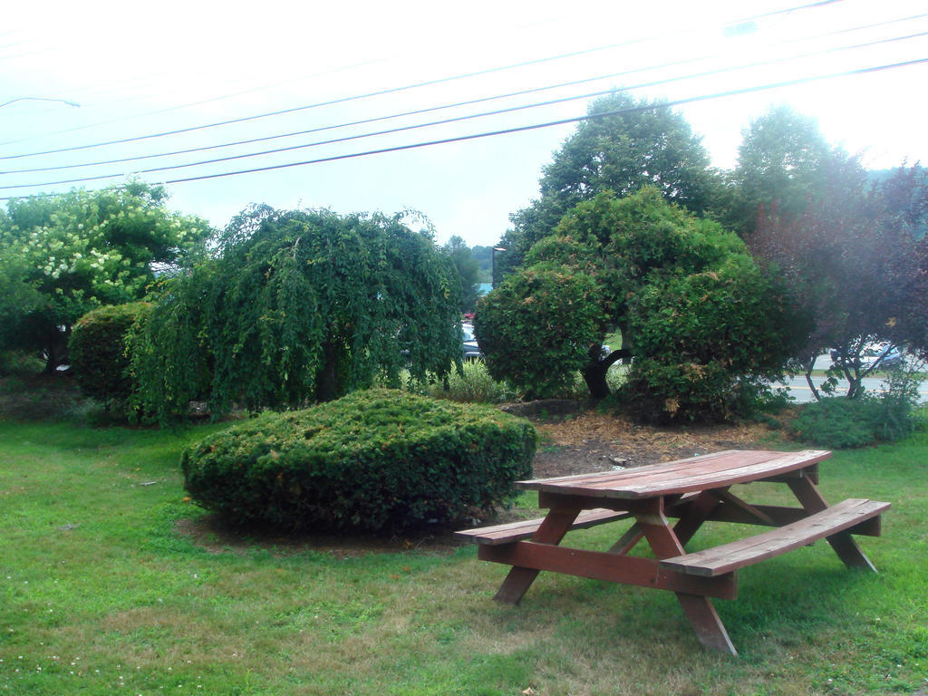 The Black Mountain Inn Brattleboro Ngoại thất bức ảnh